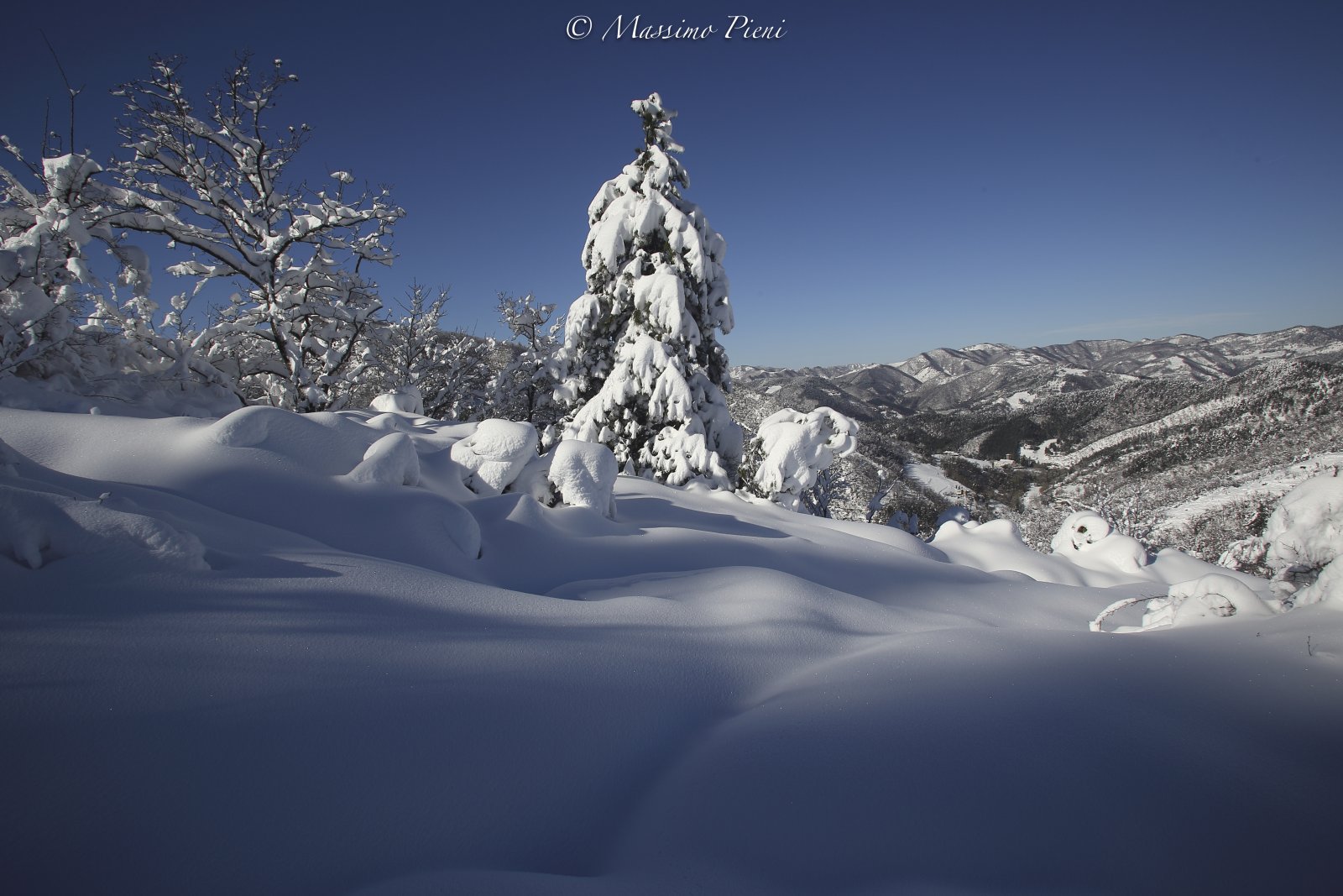 GAMOGNA_0203