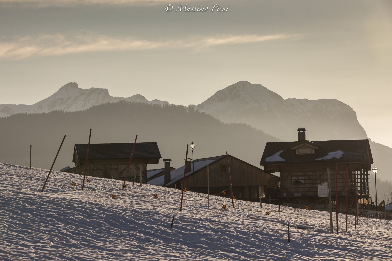 SAURIS_1177