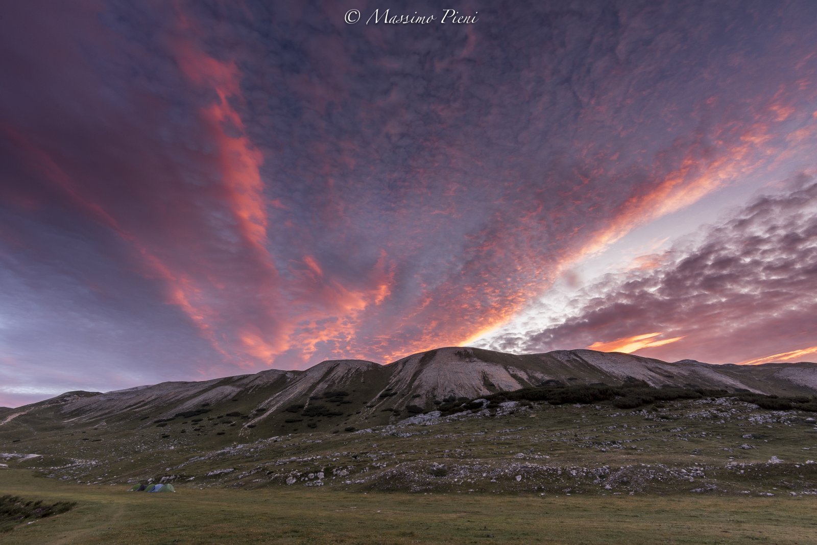SENNES 2919_0485-2