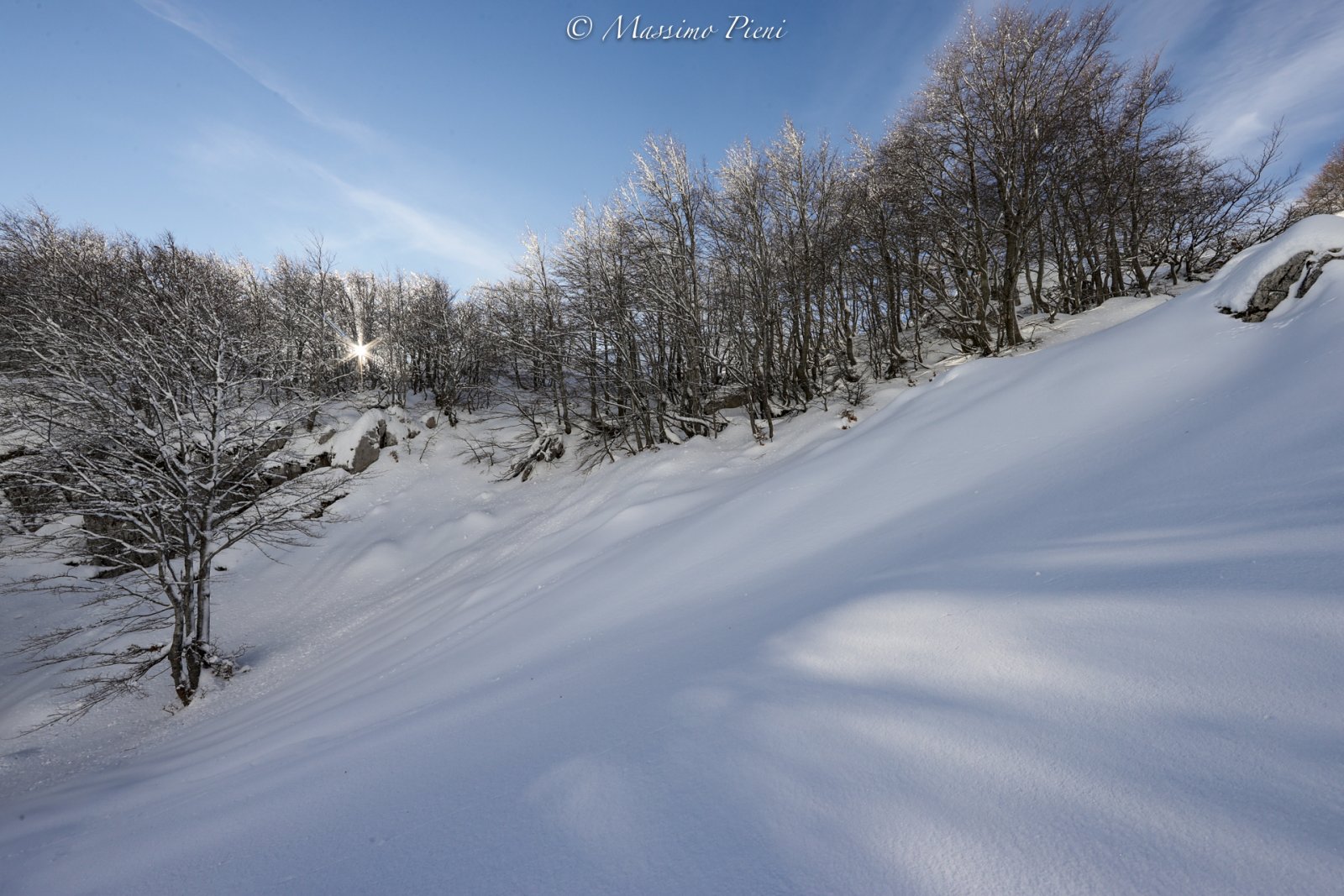 03-01-22 MASSIMO PIENI (3)